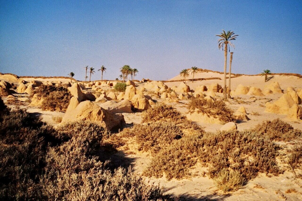 Sahara landscape