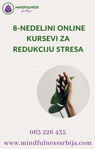 Mindfulness Srbija online kurs