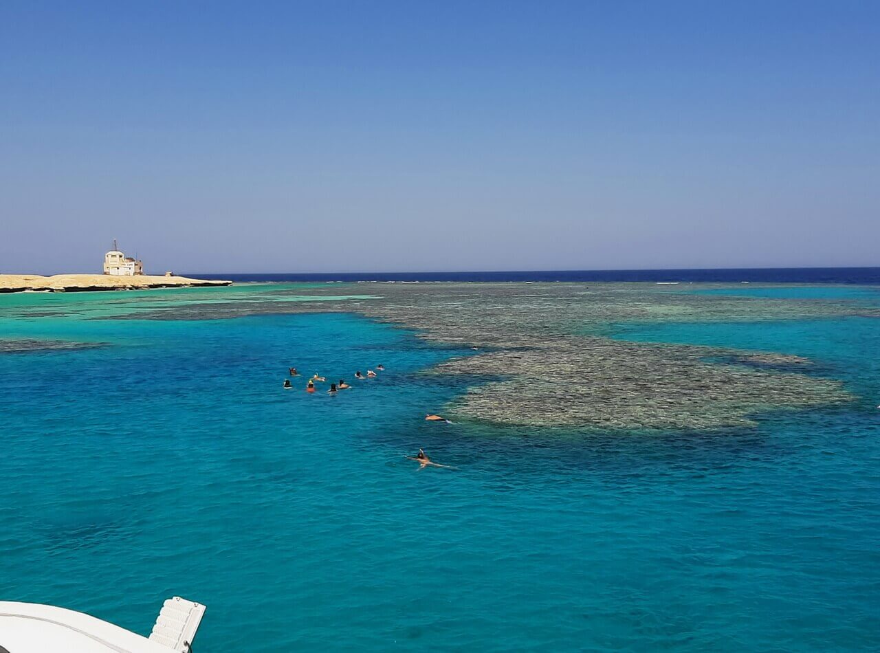 Coral reef, Red Sea, Hurghada
