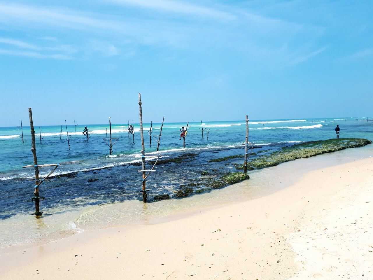 Stilt fishing, Sri Lanka