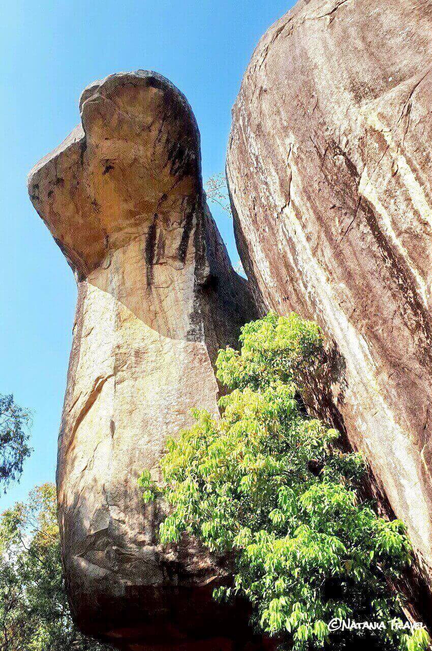 Cobra Hoove cave, Sigiriya