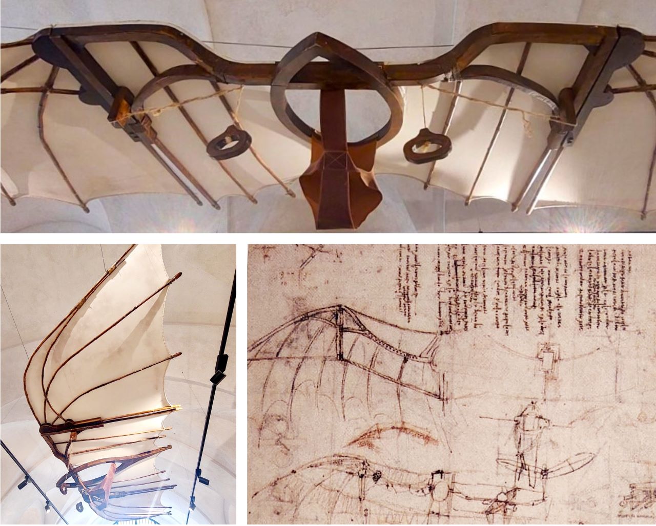 Hang Glider by Da Vinci