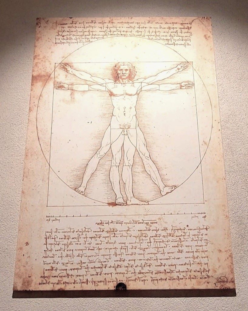 the Vitruvian Man Leonardo Da Vinci