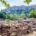 Ancient Athens