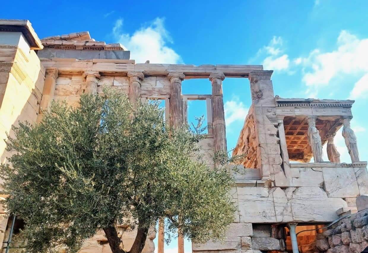 Athens, The Erechtheion or Temple of Athena Polias with olive tree