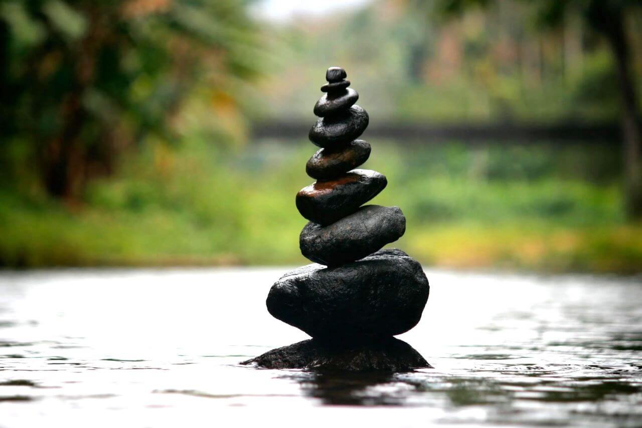 Mindfulness Dragana Djurdjanović