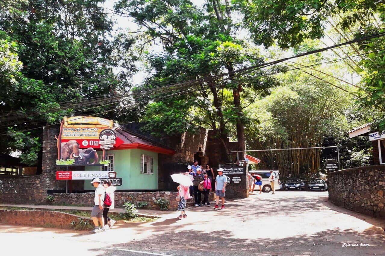 Entrance in Pinnawala Elephant Orphanage