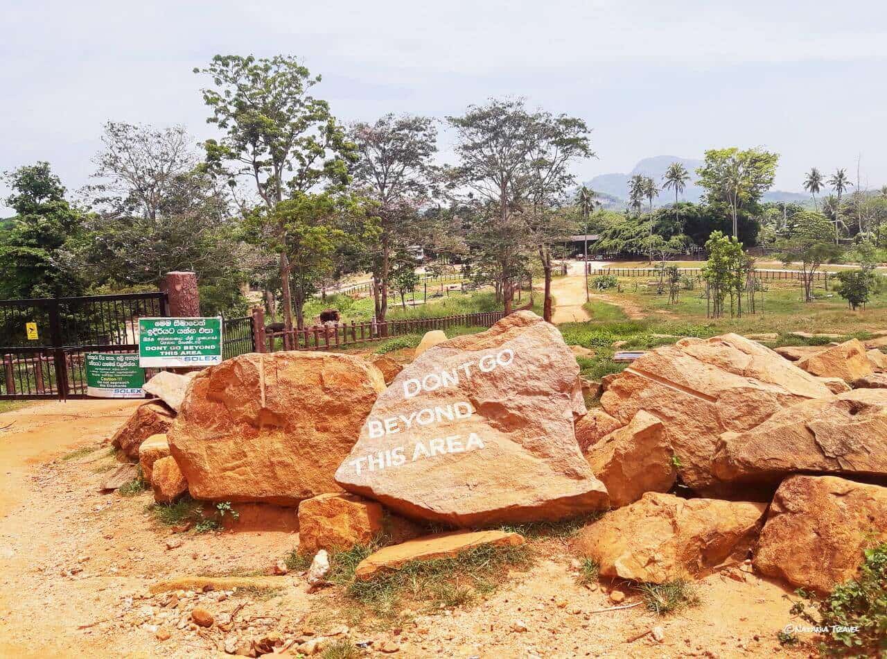 Pinnawala Elephant Orphanage