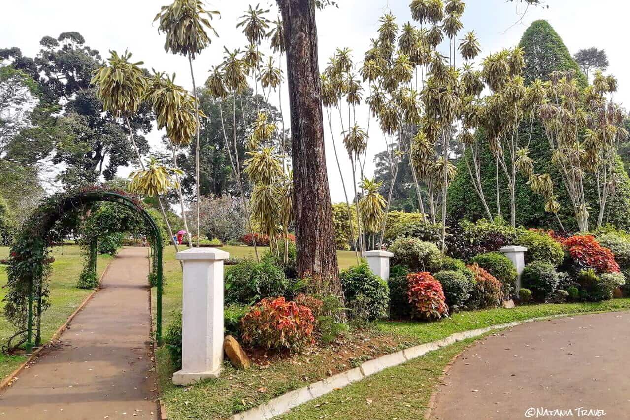 Royal Botanical Garden Peradeniya in Kandy, Sri Lanka