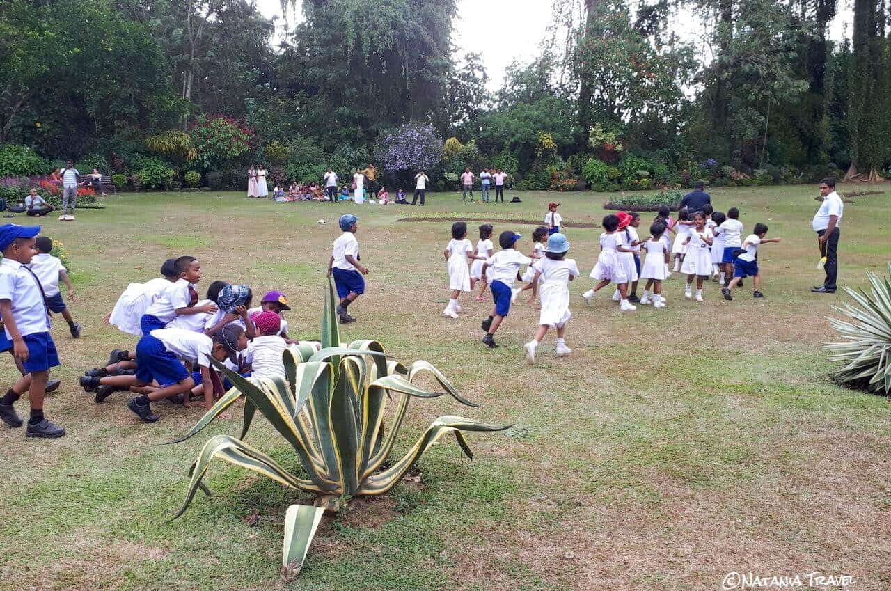 Peradeniya, Royal Botanical Gardens in Kandy