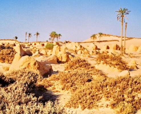 Sahara desert, Tunisia