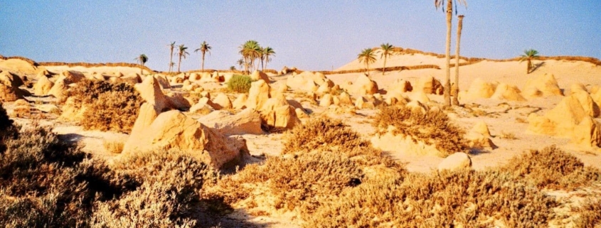 Sahara desert, Tunisia