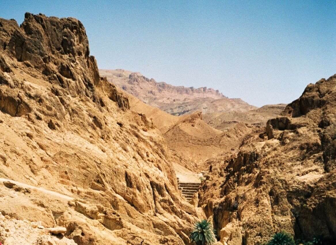 Chebika oasis in Sahara desert