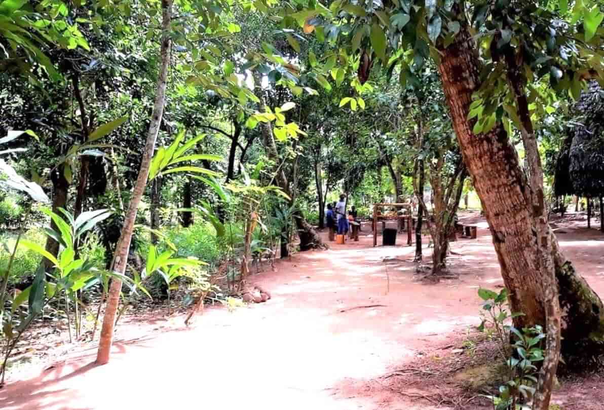 Zanzibar Spice Jambo farm