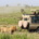 Photo © SEKO Tours, Safari in Tanzania ft