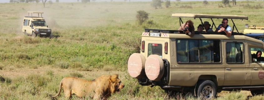 Photo © SEKO Tours, Safari in Tanzania ft