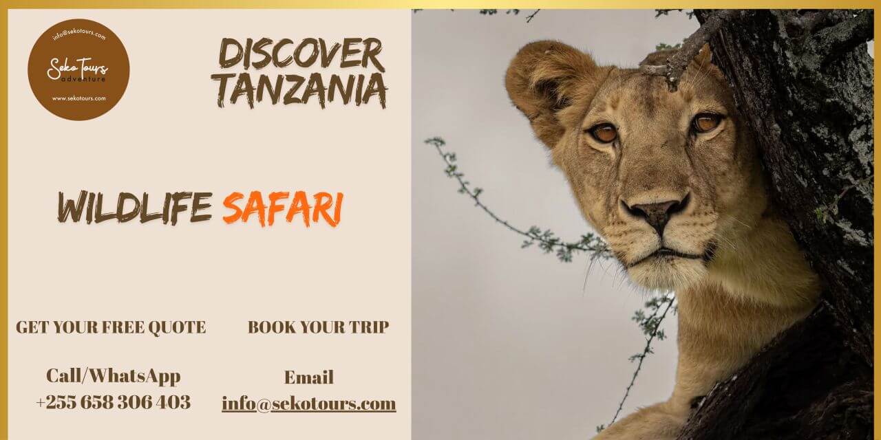 NT, Photo © SEKO Tours, banner