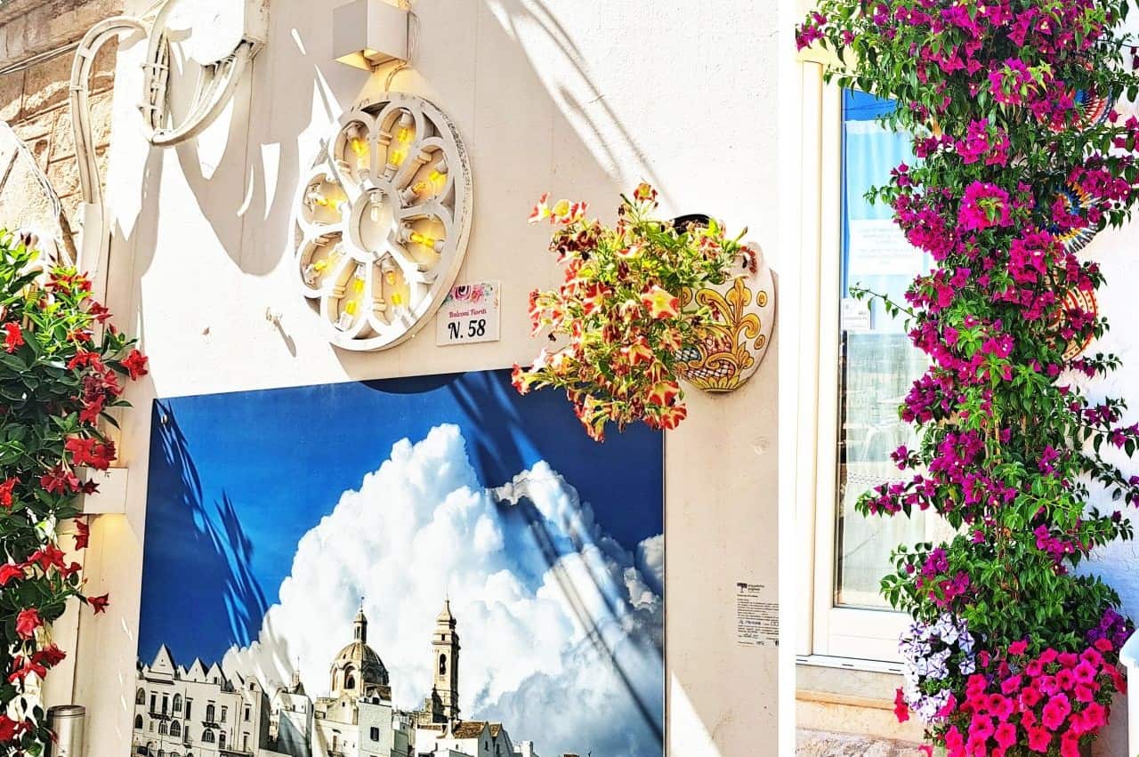 Locorotondo flowers, Puglia