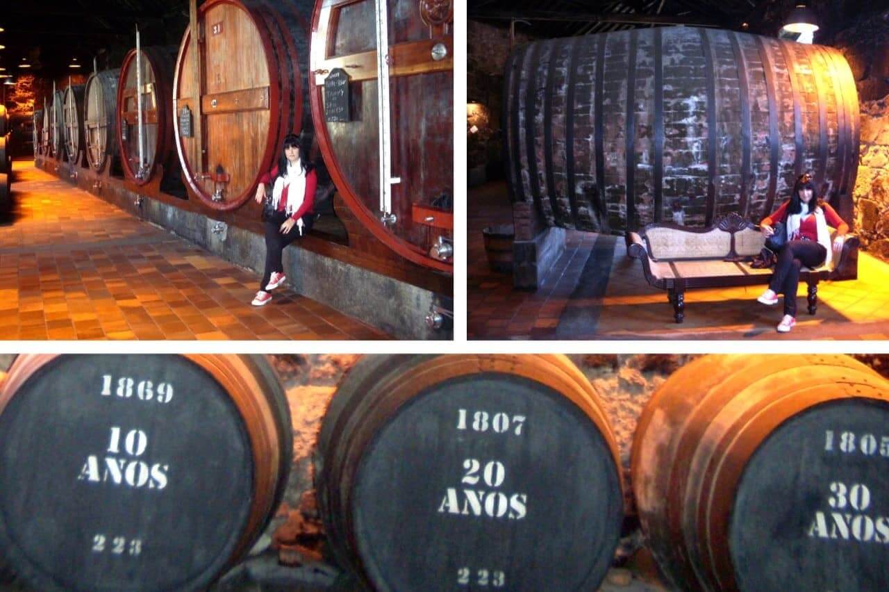 Porto, Burmester winery