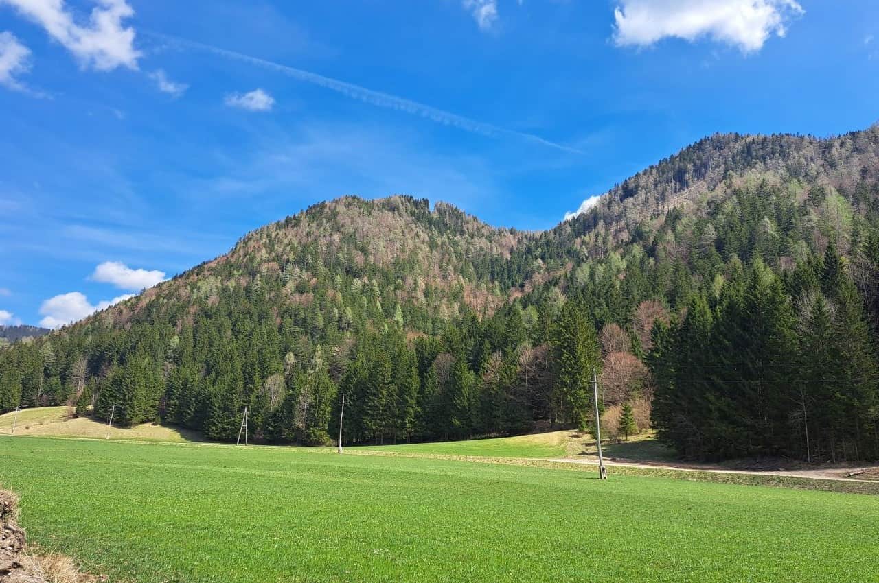 Green landscape of Jezersko