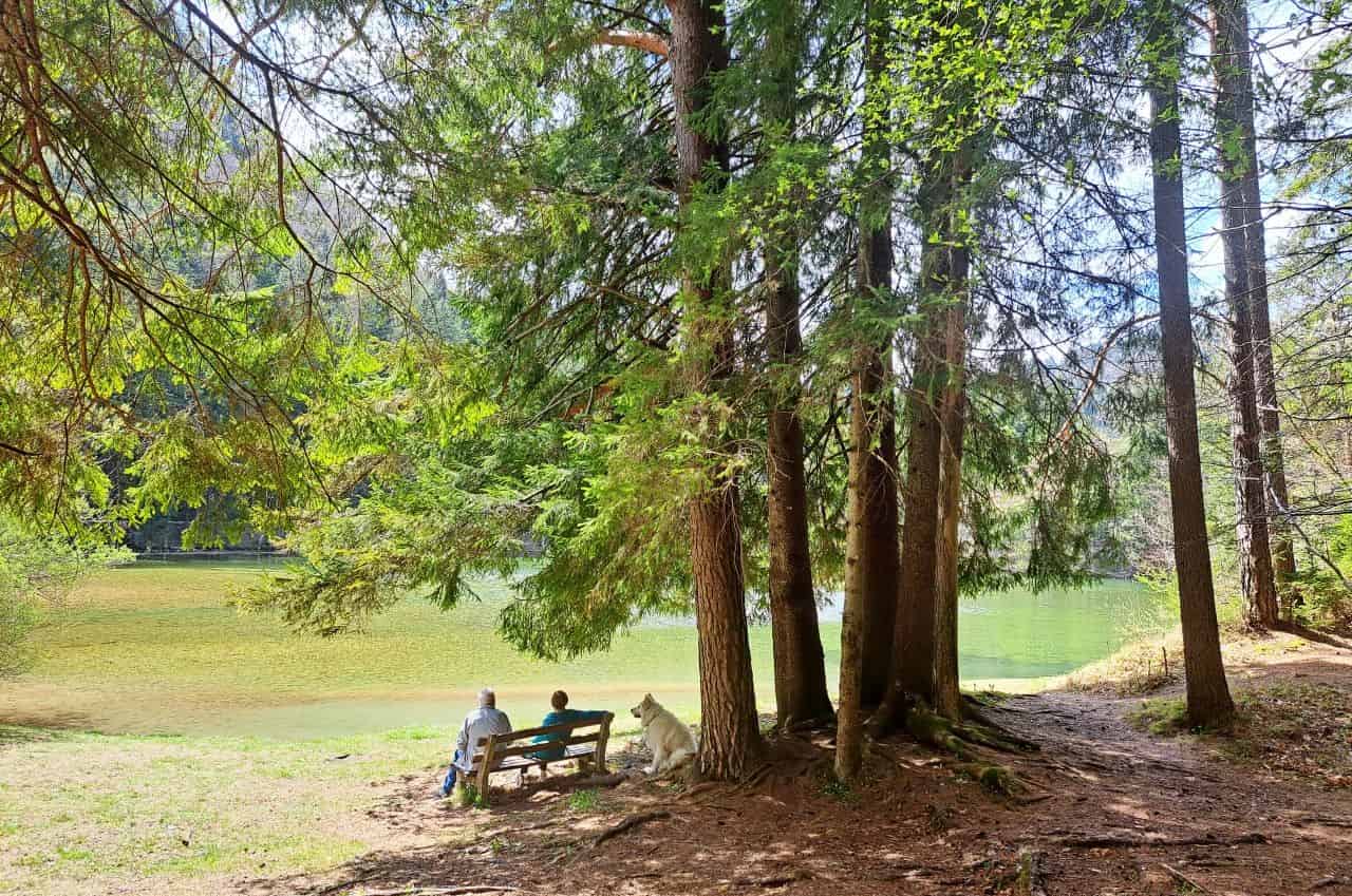 Jezersko, Planšar Lake
