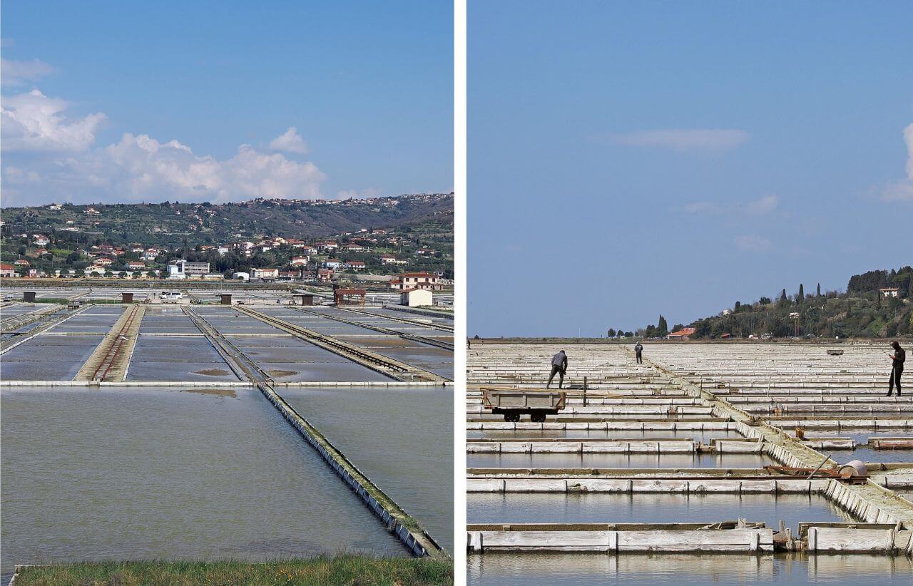 Sečovlje Salina Nature Park, Piran, photo NIkola Zoko