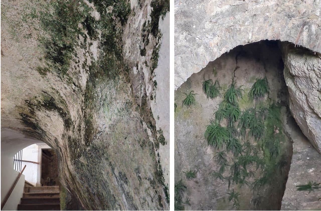 Natural wall of the Predjama Castle with moss