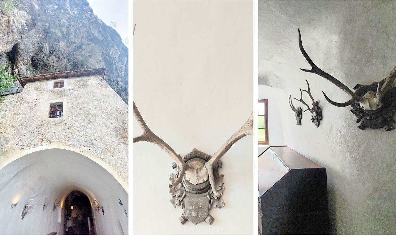 Three-panel collage: a white arched exit at a rocky cliff, a central wall with a large antler crest, and a wall with more mounted trophies and a display case