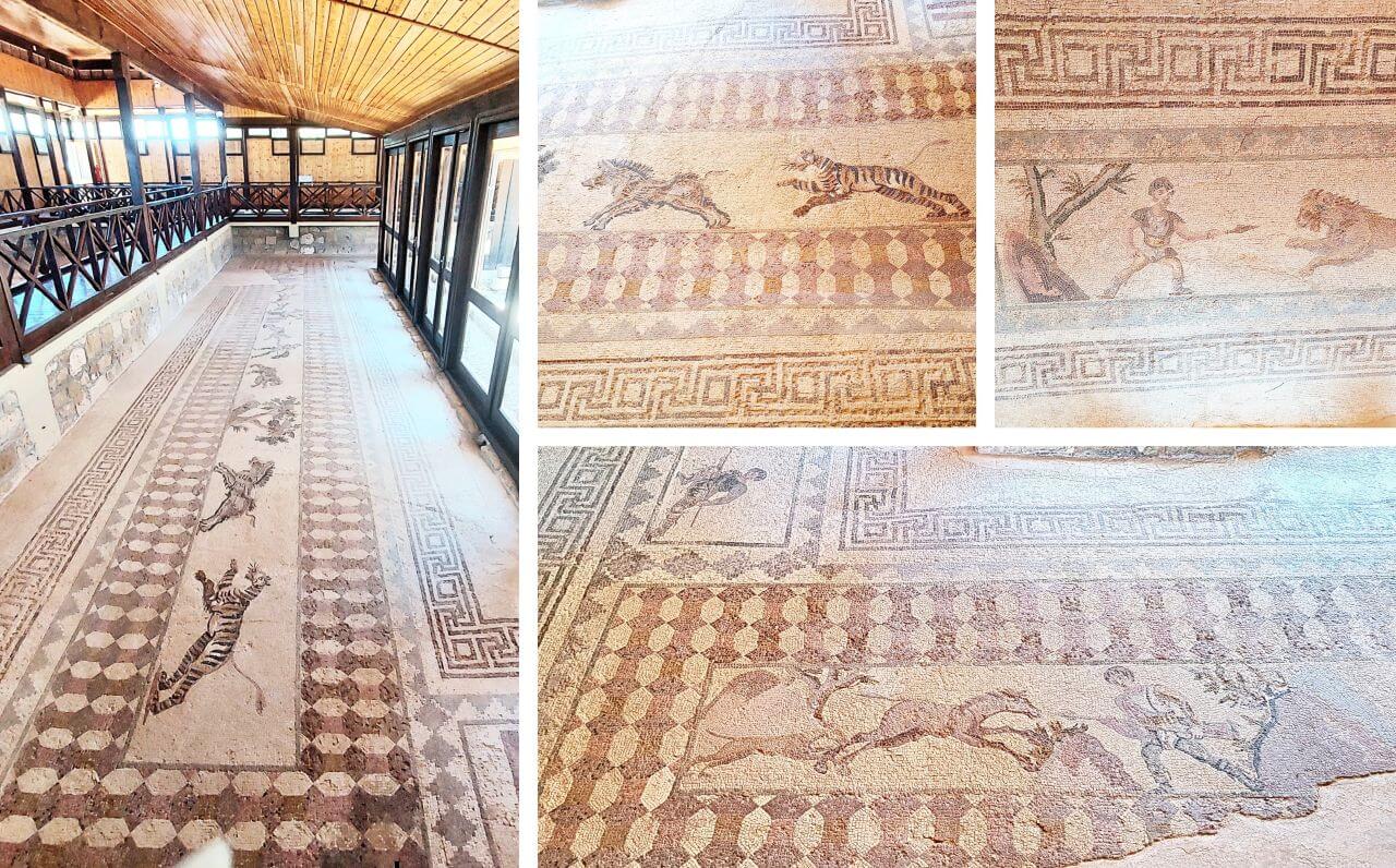 CY Paphos House of Dionysos, Hunting scenes mosaic