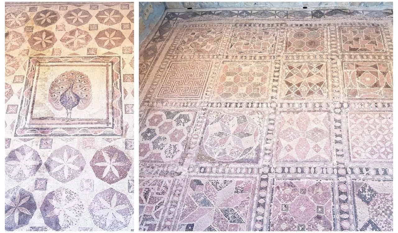 Cyprus, Arc. Park, House of Dionysos, Peacock mosaic and Geometric mosaic with 16 panels