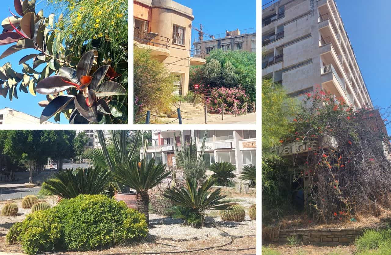 Nature survives in Varosha, Cyprus