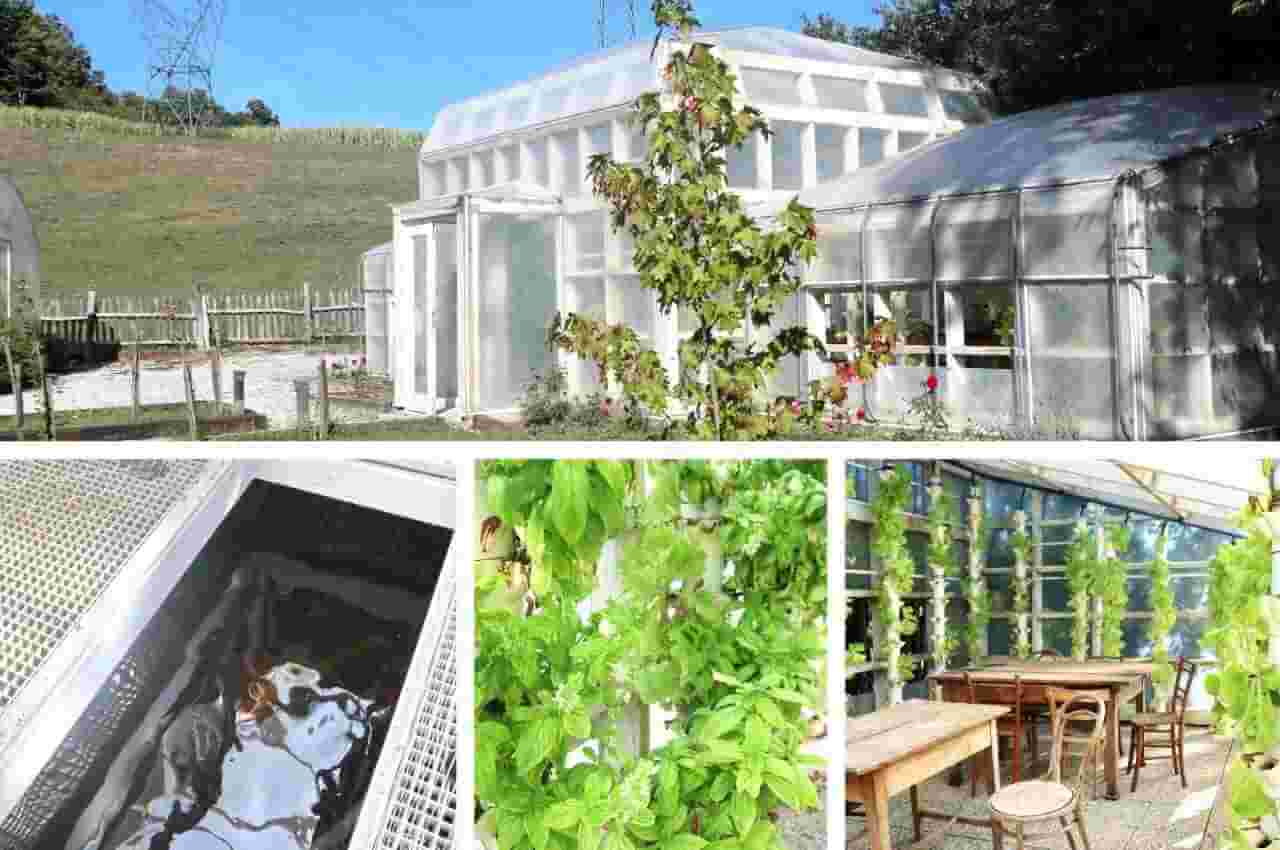 Pomona Greenhouse with aquaponic