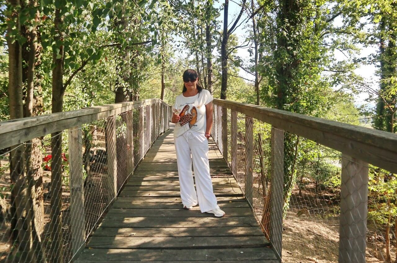 Wooden bridge at the Pomona Estate