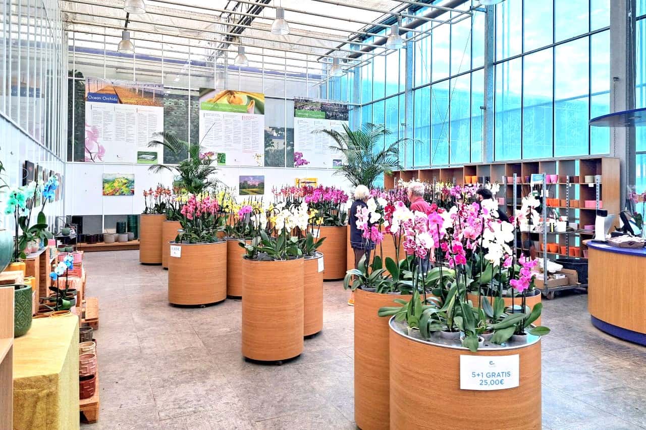 Dobrovnik, Ocean Orchids shop