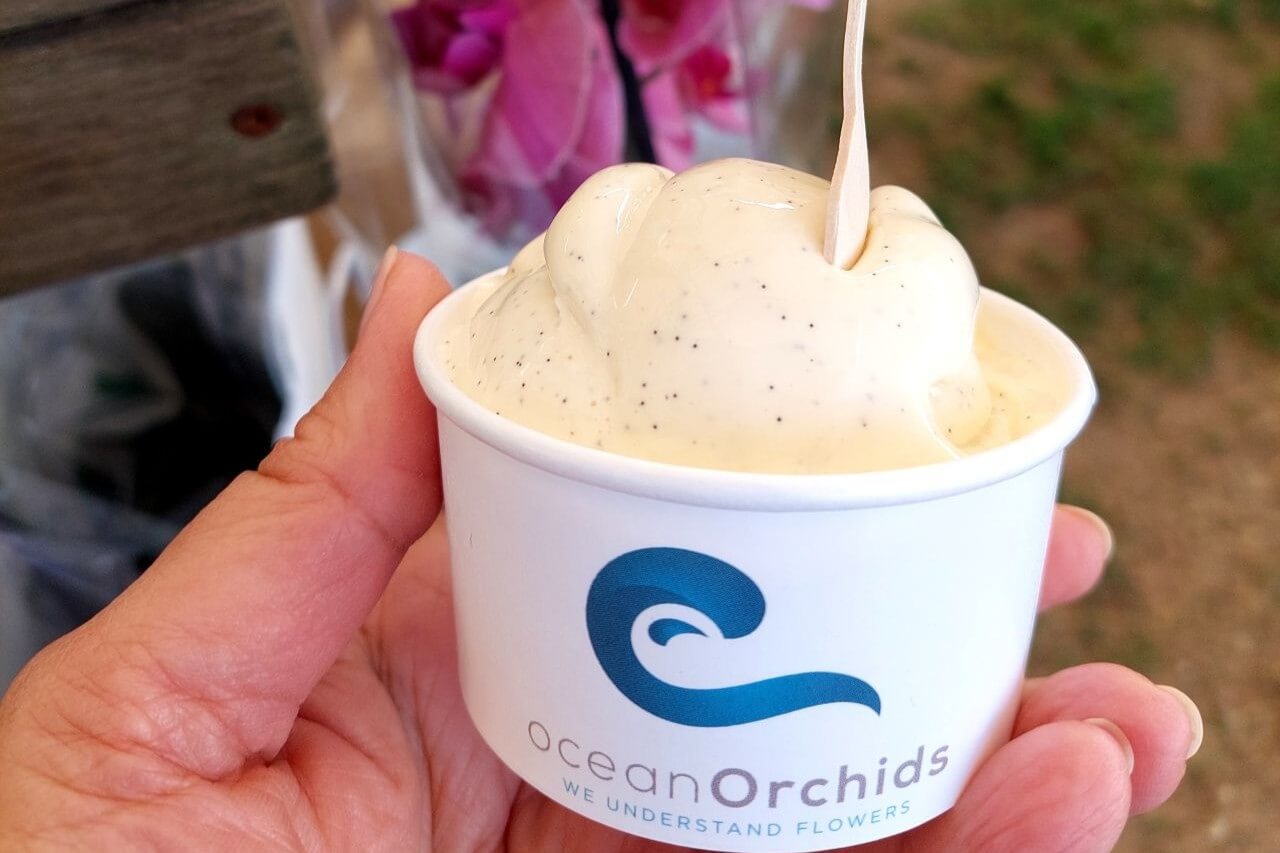 Slovenia, Dobrovnik, Ocean Orchids, Vanilla Ice cream