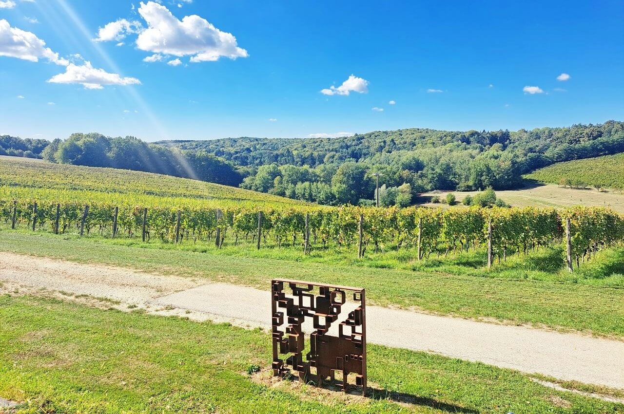 Marof vineyard, Mačkovci, Slovenia