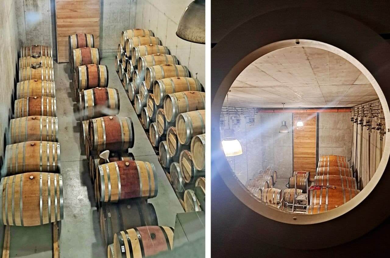 Barrels in the MAROF cellar