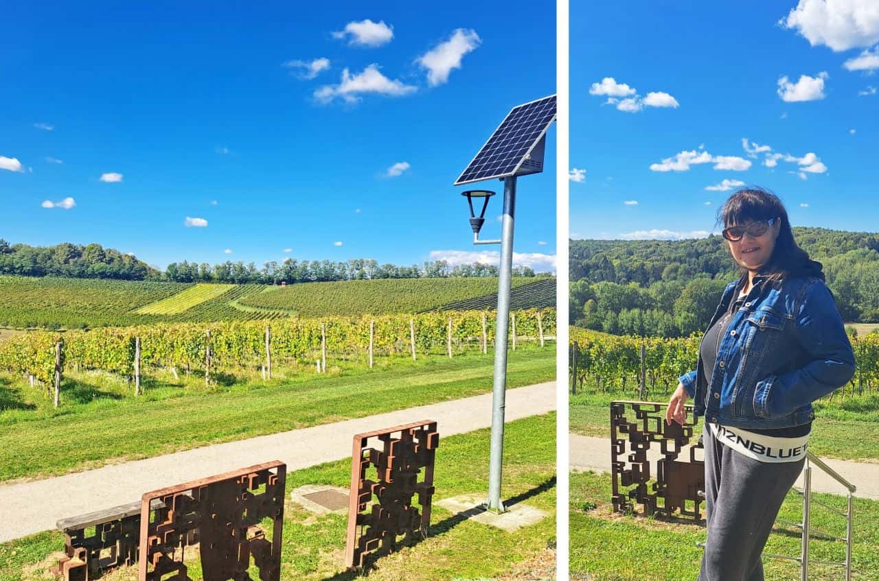 Marof vineyard in Mačkovci village, Slovenia