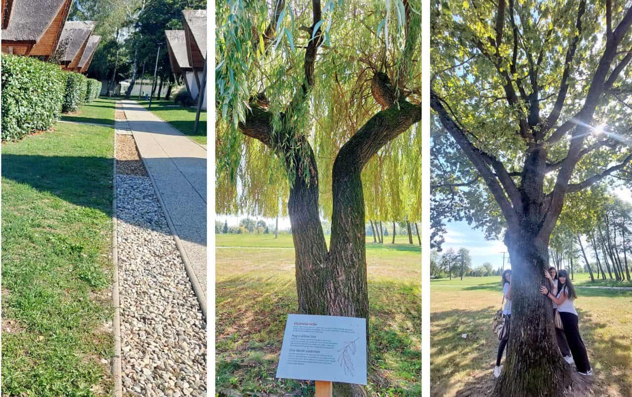 Moravske Toplice, Healing path and hugging the tree
