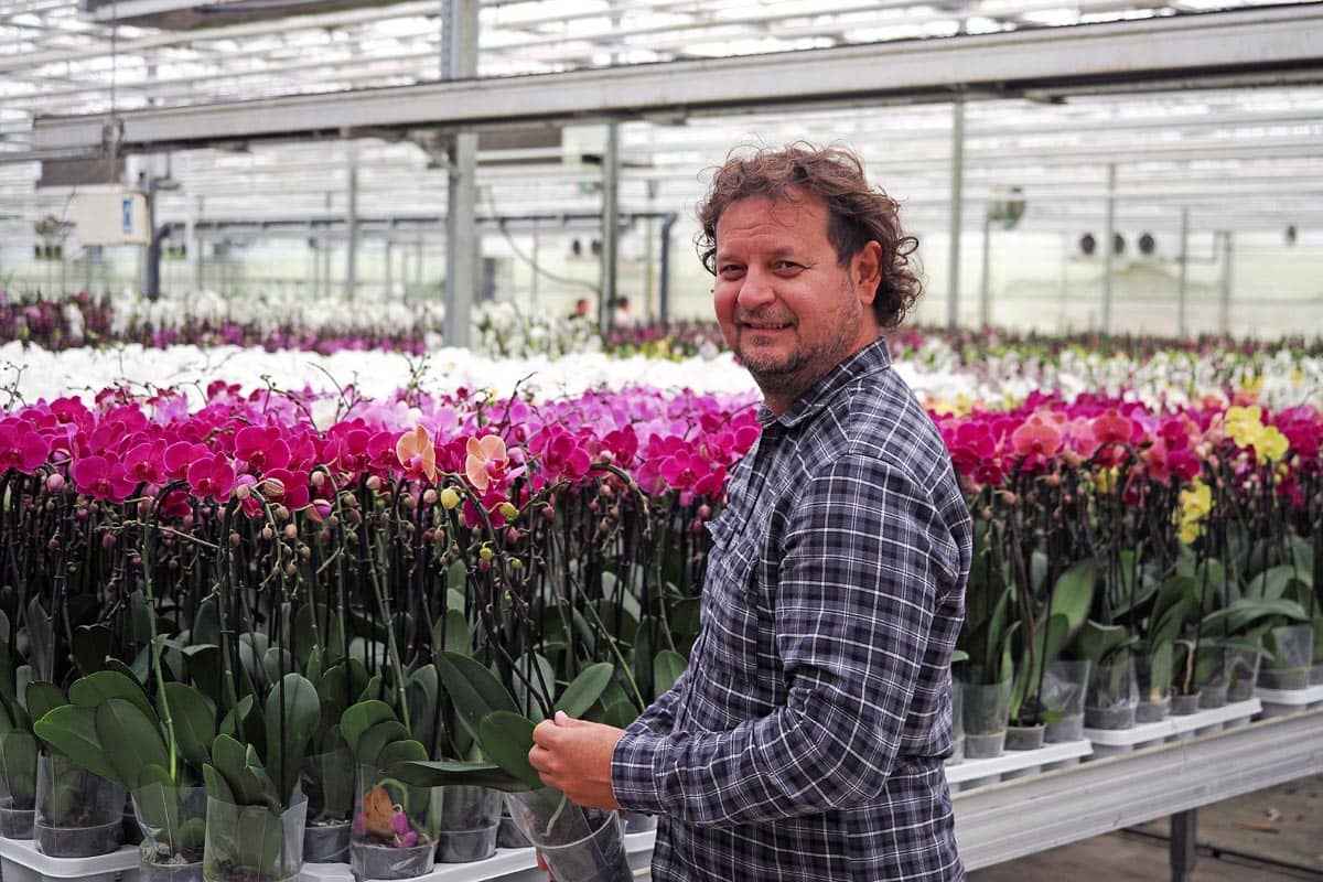 Ocean Orchids, Roman Ferenčak, one of the owner, photo Nikola Zoko