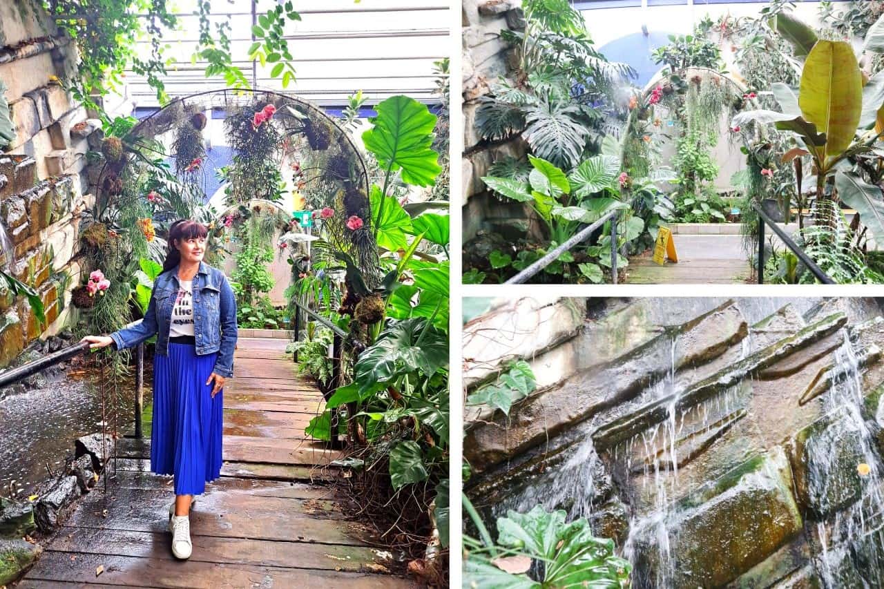 Slovenia, Dobrovnik, Ocean Orchids, a wooden walkway and a waterfall