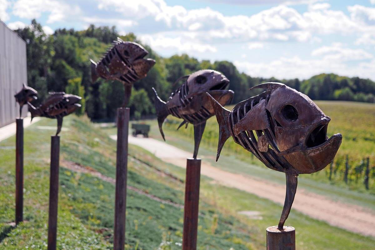 Fish sculptures at the Vinska klet Marof, photo Nikola Zoko 